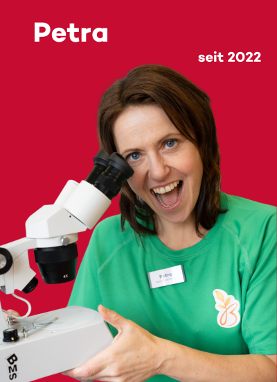 Petra Petra