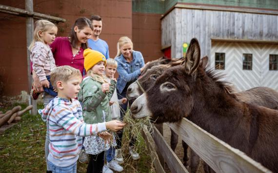 20241031BliemsFamilienhotel©LorenzMasser0501