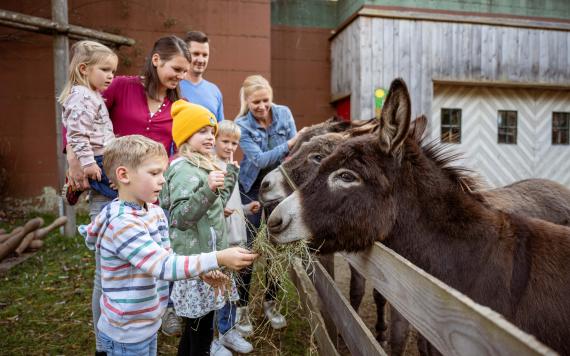 20241031BliemsFamilienhotel©LorenzMasser0501 20241031BliemsFamilienhotel©LorenzMasser0501