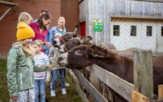 20241031BliemsFamilienhotel©LorenzMasser0483