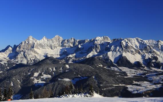 Bliem´s Familienhotel image-194679
