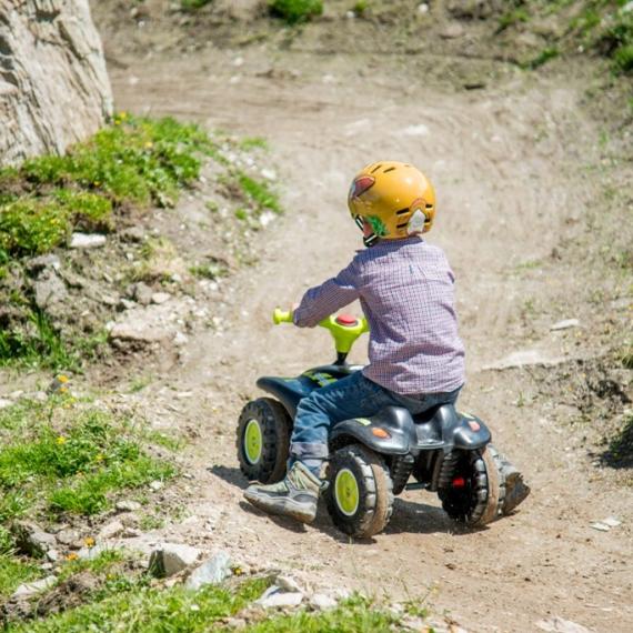 Bliem´s Familienhotel image-370648