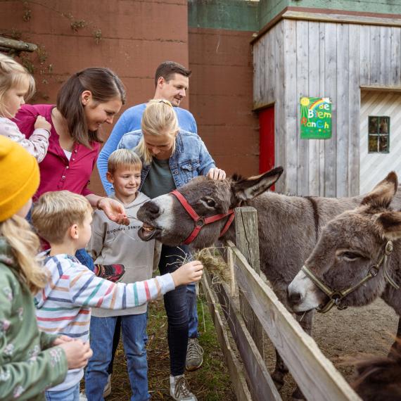 20241031BliemsFamilienhotel©LorenzMasser0519