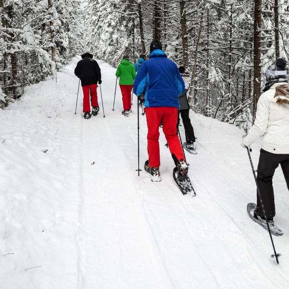 Bliem´s Familienhotel 170106-Schneeschuhwanderung-Gradenbach-8