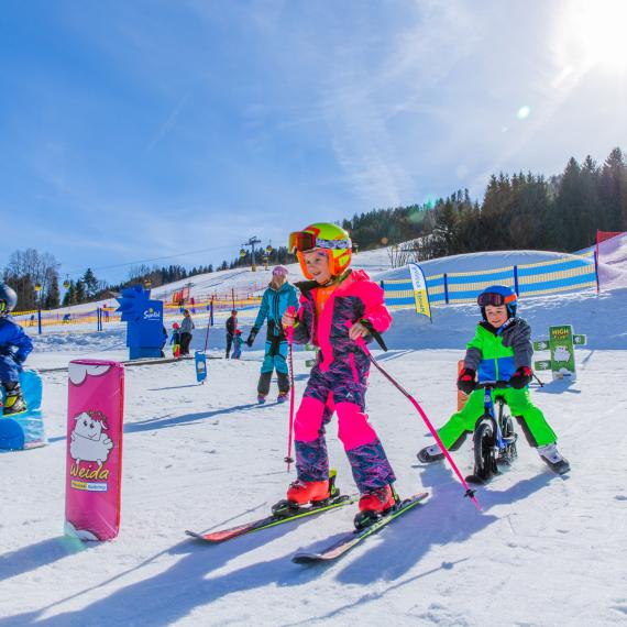 Bild 1_(1) Bild 1_(1)