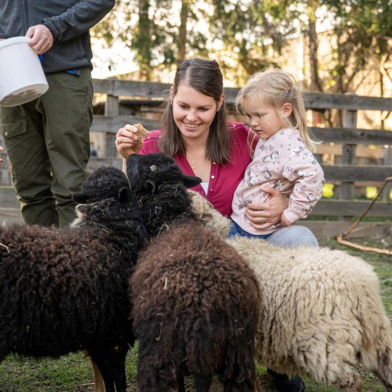 20241031BliemsFamilienhotel©LorenzMasser0541 20241031BliemsFamilienhotel©LorenzMasser0541